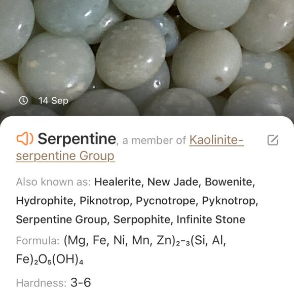 2/$20 Natural Serpentine Leaf Branch Necklace, Genuine Gemstone Stainless Chain - Picture 10 of 11